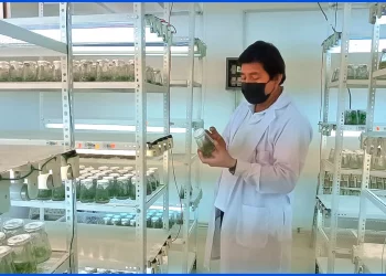 Convergencia científica-tecnológica