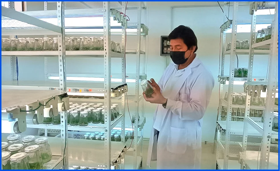 Convergencia científica-tecnológica