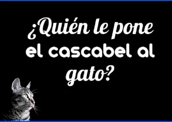 Políticas sociales inconducentes