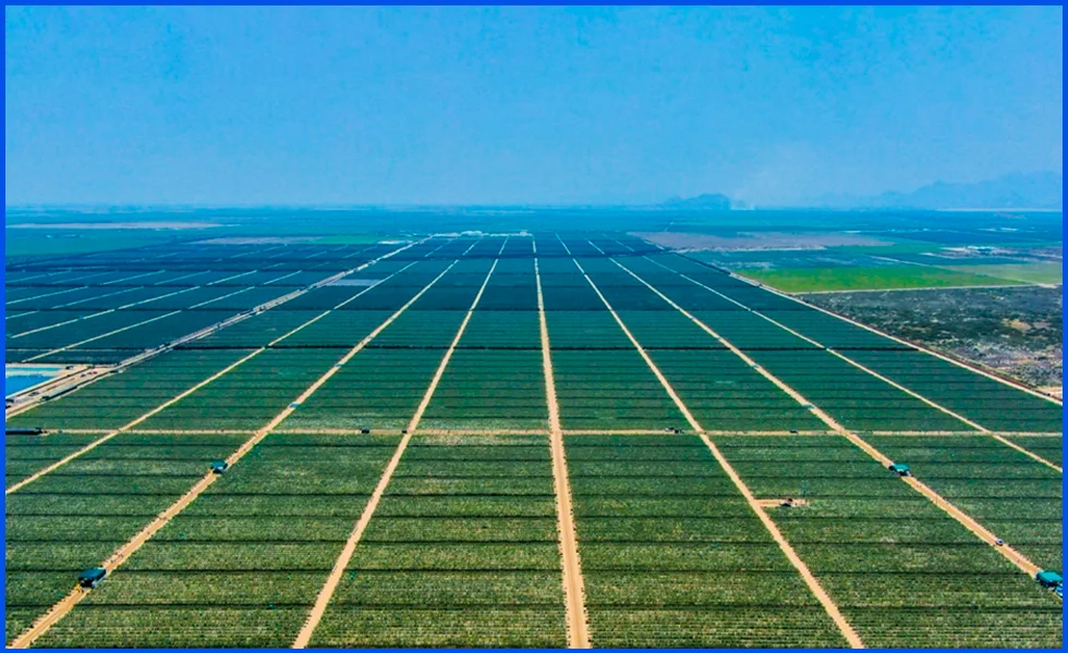 Olmos – justos pagarían por pecadores