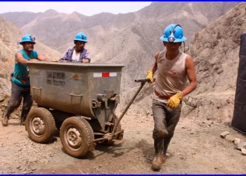 Milagro: consensos en la ley MAPE