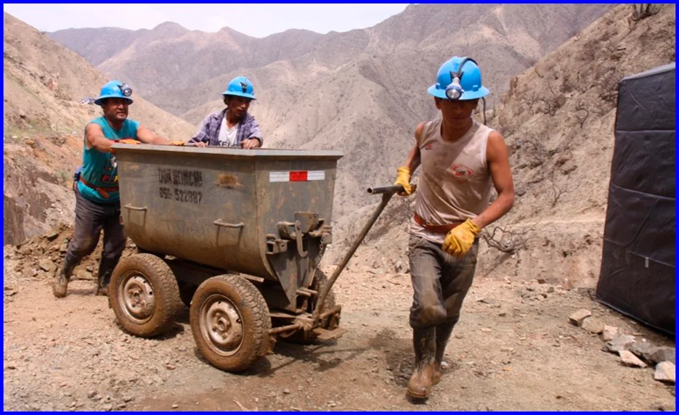 Milagro: consensos en la ley MAPE